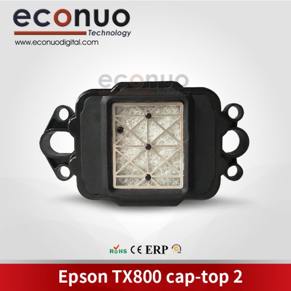 Epson TX800 Cap Top 2 hole