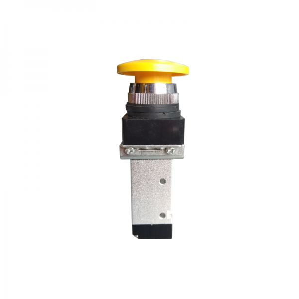 Solenoid Valve Flora LJ320SW