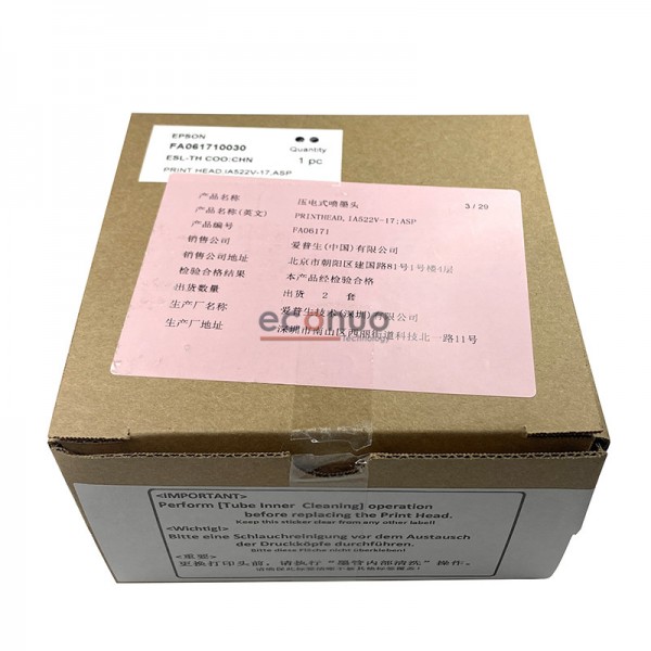 Epson DX6 printhead FA061710030 